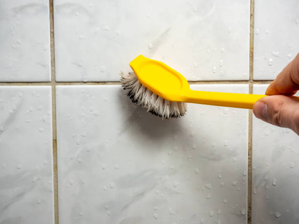 Best DIY Mold Remediation Support Services in Mapleton, MN