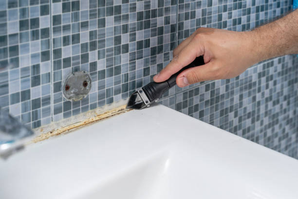Best Basement Mold Remediation in Mapleton, MN