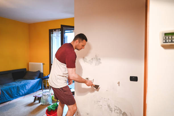 Best Residential Mold Remediation in Mapleton, MN